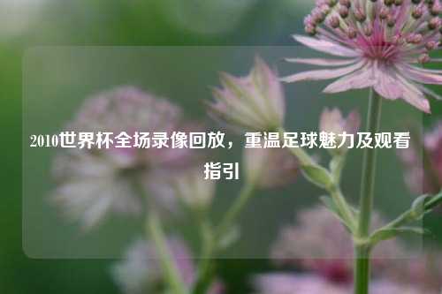 2010世界杯全场录像回放，重温足球魅力及观看指引
