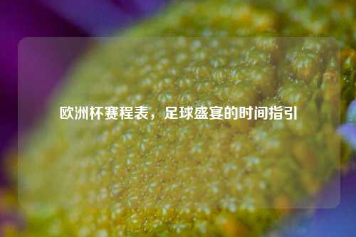 欧洲杯赛程表，足球盛宴的时间指引