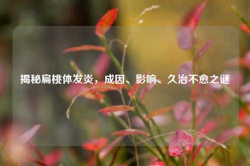 揭秘扁桃体发炎，成因、影响、久治不愈之谜