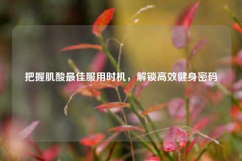 把握肌酸最佳服用时机，解锁高效健身密码