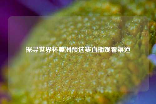 探寻世界杯美洲预选赛直播观看渠道