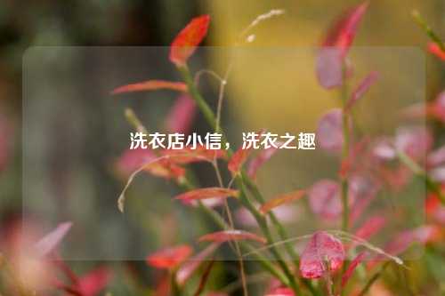 洗衣店小信，洗衣之趣