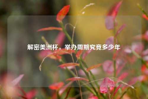 解密美洲杯，举办周期究竟多少年