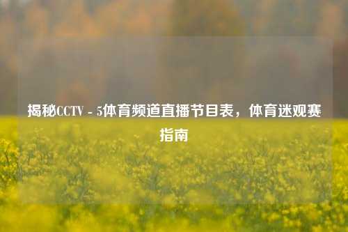 揭秘CCTV - 5体育频道直播节目表，体育迷观赛指南