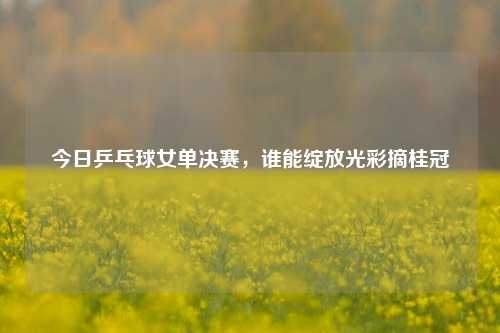 今日乒乓球女单决赛，谁能绽放光彩摘桂冠