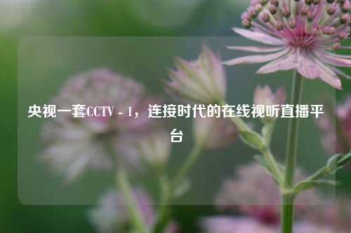 央视一套CCTV - 1，连接时代的在线视听直播平台