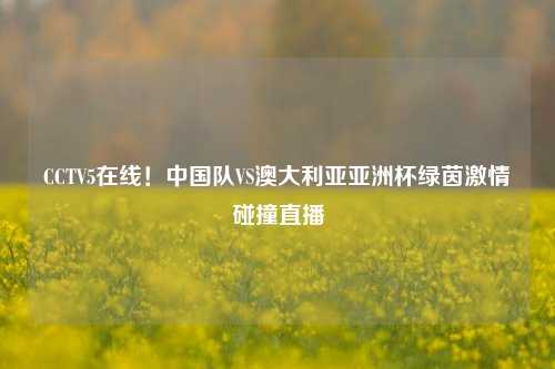 CCTV5在线！中国队VS澳大利亚亚洲杯绿茵激情碰撞直播