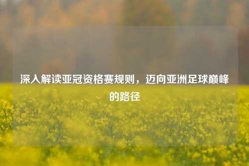深入解读亚冠资格赛规则，迈向亚洲足球巅峰的路径