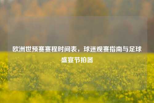 欧洲世预赛赛程时间表，球迷观赛指南与足球盛宴节拍器