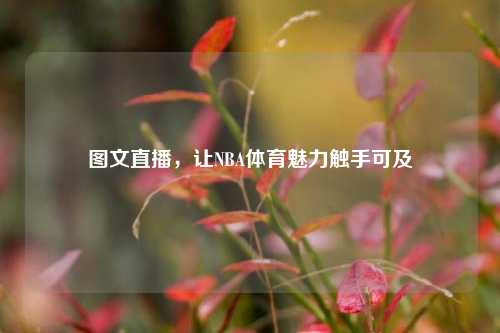 图文直播，让NBA体育魅力触手可及