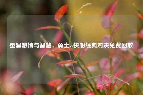 重温激情与智慧，勇士vs快船经典对决免费回放