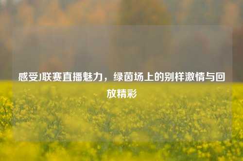 感受J联赛直播魅力，绿茵场上的别样激情与回放精彩