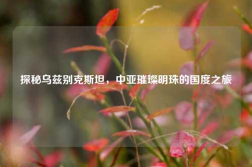 探秘乌兹别克斯坦，中亚璀璨明珠的国度之旅