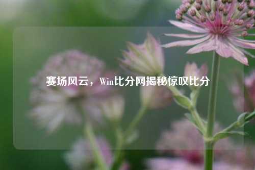 赛场风云，Win比分网揭秘惊叹比分
