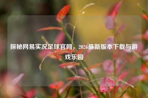 探秘网易实况足球官网，2026最新版本下载与游戏乐园