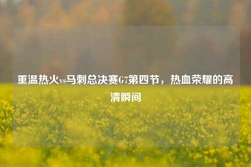 重温热火vs马刺总决赛G7第四节，热血荣耀的高清瞬间