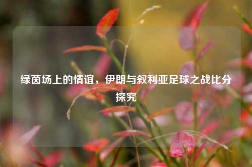 绿茵场上的情谊，伊朗与叙利亚足球之战比分探究