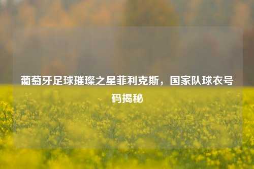 葡萄牙足球璀璨之星菲利克斯，国家队球衣号码揭秘