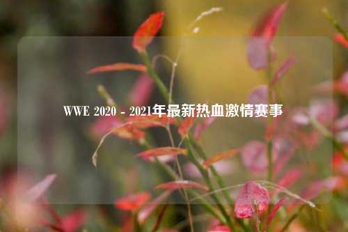 WWE 2020 - 2021年最新热血激情赛事