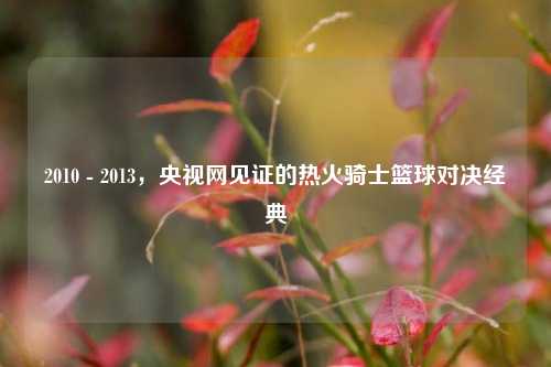 2010 - 2013，央视网见证的热火骑士篮球对决经典