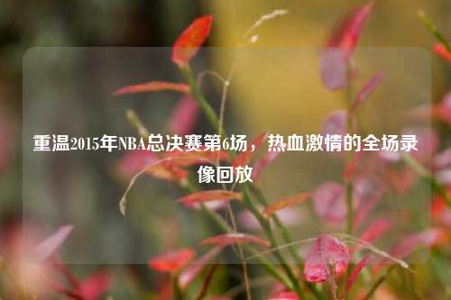 重温2015年NBA总决赛第6场，热血激情的全场录像回放