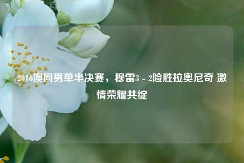 2016澳网男单半决赛，穆雷3 - 2险胜拉奥尼奇 激情荣耀共绽