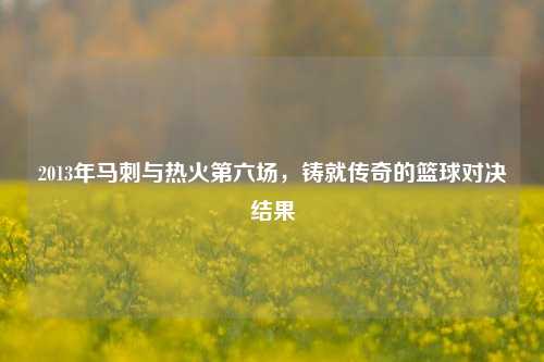2013年马刺与热火第六场，铸就传奇的篮球对决结果