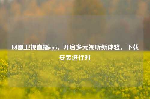 凤凰卫视直播app，开启多元视听新体验，下载安装进行时