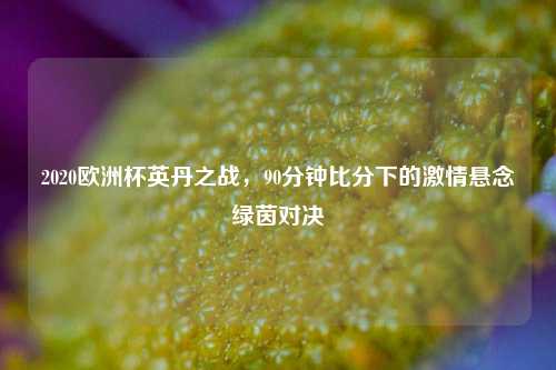 2020欧洲杯英丹之战，90分钟比分下的激情悬念绿茵对决