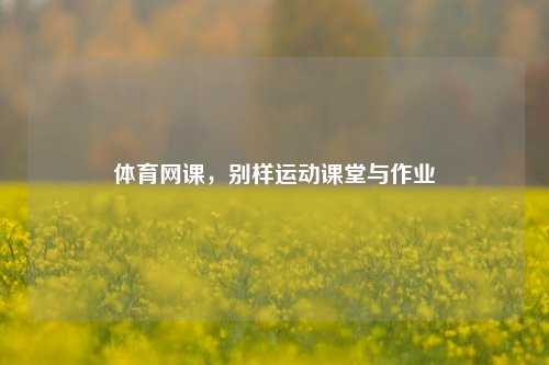 体育网课，别样运动课堂与作业