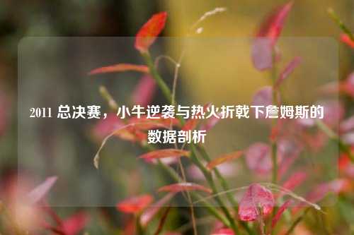 2011 总决赛，小牛逆袭与热火折戟下詹姆斯的数据剖析