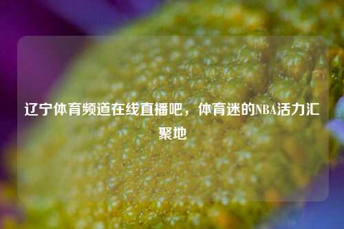 辽宁体育频道在线直播吧，体育迷的NBA活力汇聚地