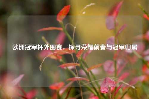 欧洲冠军杯外围赛，探寻荣耀前奏与冠军归属