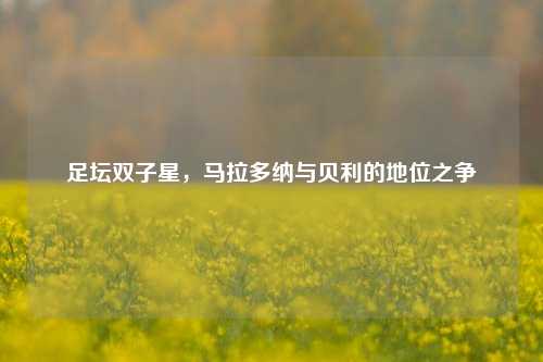 足坛双子星，马拉多纳与贝利的地位之争