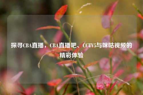 探寻CBA直播，CBA直播吧、CCTV5与咪咕视频的精彩体验