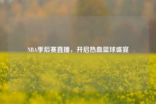 NBA季后赛直播，开启热血篮球盛宴