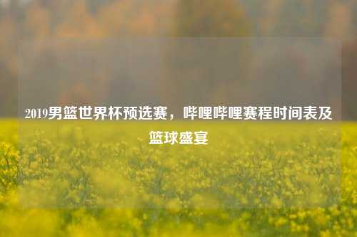 2019男篮世界杯预选赛，哔哩哔哩赛程时间表及篮球盛宴