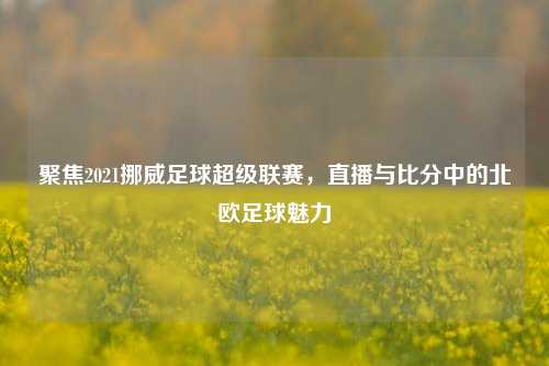 聚焦2021挪威足球超级联赛，直播与比分中的北欧足球魅力