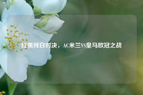 红黑纯白对决，AC米兰VS皇马欧冠之战