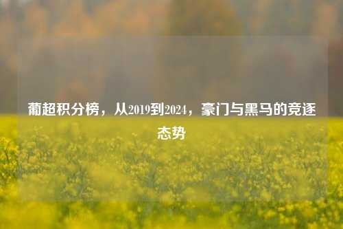 葡超积分榜，从2019到2024，豪门与黑马的竞逐态势