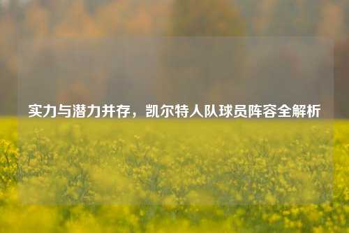 实力与潜力并存，凯尔特人队球员阵容全解析