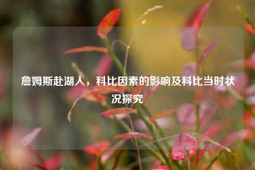 詹姆斯赴湖人，科比因素的影响及科比当时状况探究