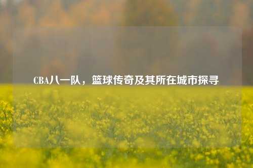CBA八一队，篮球传奇及其所在城市探寻