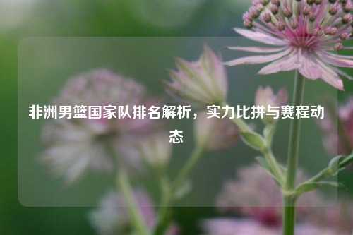 非洲男篮国家队排名解析，实力比拼与赛程动态