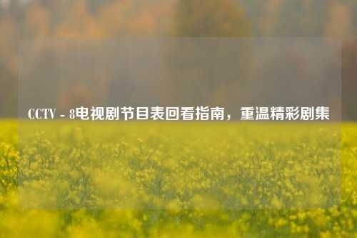 CCTV - 8电视剧节目表回看指南，重温精彩剧集