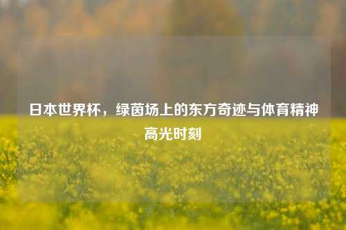 日本世界杯，绿茵场上的东方奇迹与体育精神高光时刻
