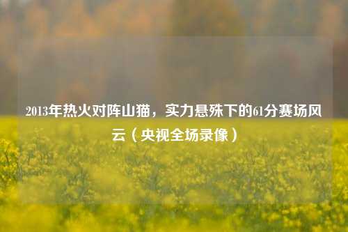 2013年热火对阵山猫，实力悬殊下的61分赛场风云（央视全场录像）