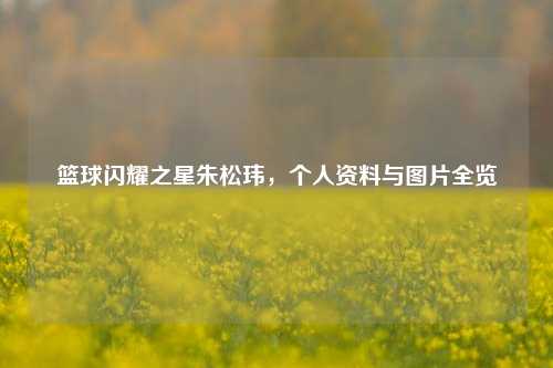 篮球闪耀之星朱松玮，个人资料与图片全览