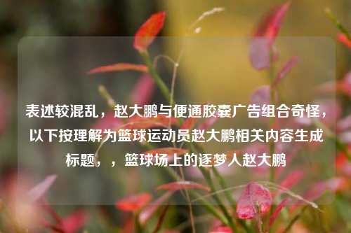 表述较混乱，赵大鹏与便通胶囊广告组合奇怪，以下按理解为篮球运动员赵大鹏相关内容生成标题，，篮球场上的逐梦人赵大鹏