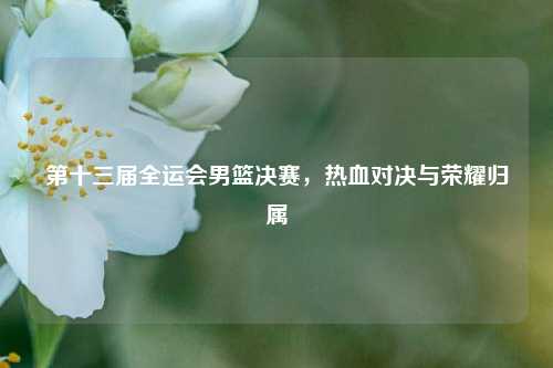 第十三届全运会男篮决赛，热血对决与荣耀归属